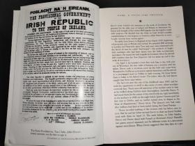 Irish Rebel  爱尔兰反叛者  外文原版 以图为准 大32开