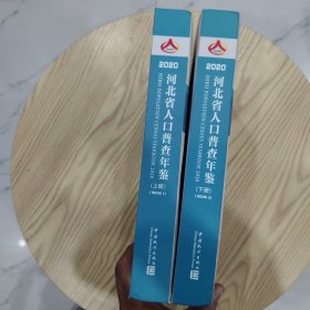 河北省人口普查年鉴.2020（上下册）