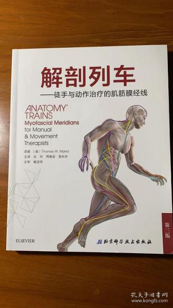 解剖列车——徒手与动作治疗的肌筋膜经线：第三版