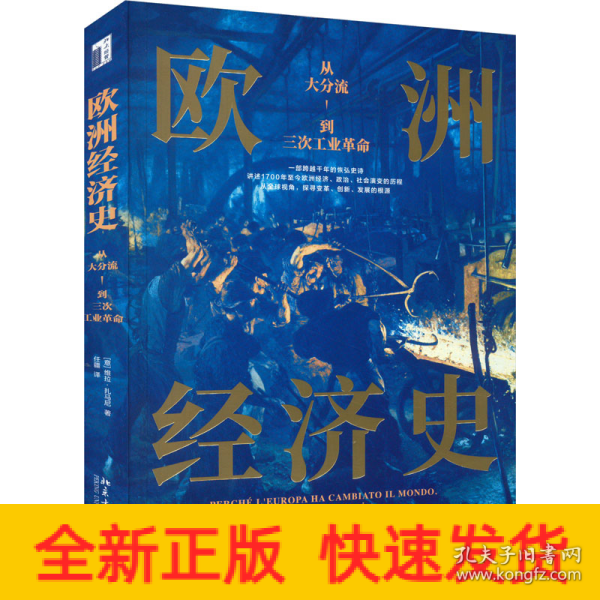 欧洲经济史：从大分流到三次工业革命 以全球视野，讲述1700年至今欧洲经济的故事