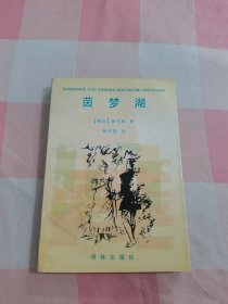 茵梦湖【上顶有点水渍印】