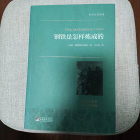 钢铁是怎样炼成的/世界名著典藏（名家全译本 外国文学畅销书）