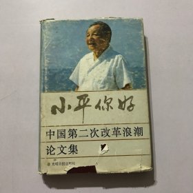 小平你好 中国第二次改革浪潮论文集