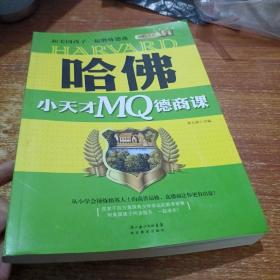 哈佛小天才MQ德商课：和美国孩子一起磨练德商