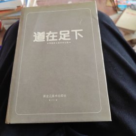 道在足下（美术学文库）