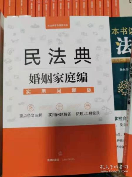 民法典婚姻家庭编：实用问题版