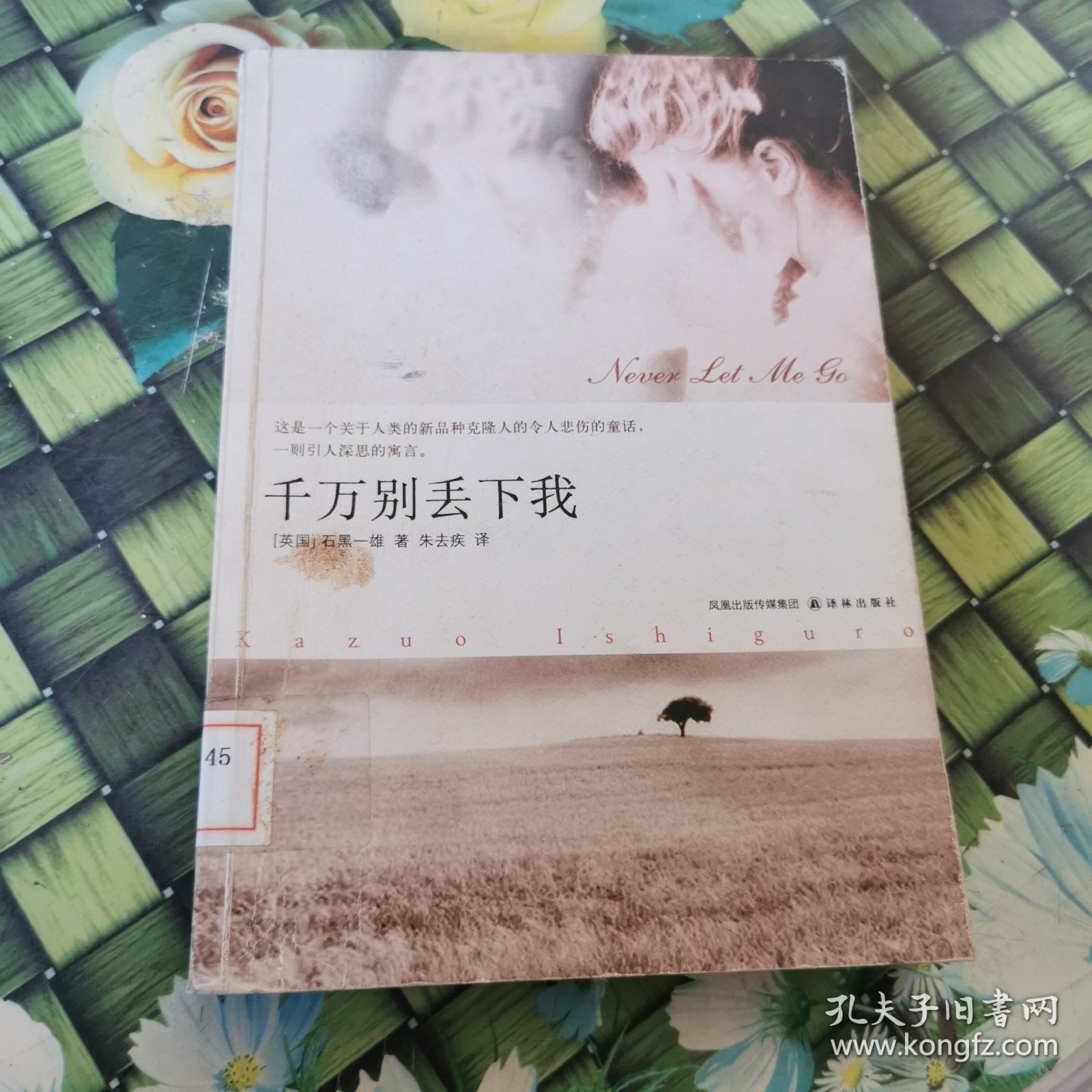 千万别丢下我 馆藏正版无笔迹