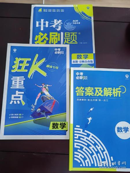 中考必刷题数学