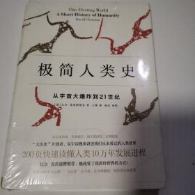 极简人类史：从宇宙大爆炸到21世纪