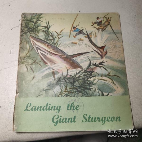 【馆藏英文版全彩连环画】智捕大鲟鱼Landing the Giant Sturgeon