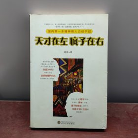 天才在左 疯子在右：国内第一本精神病人访谈手记