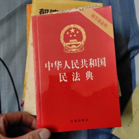 中华人民共和国民法典（32开压纹烫金附草案说明）2020年6月 D1左