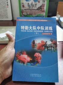 特勤大队中队训练 下