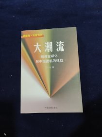 大潮流:经济全球化与中国面临的挑战