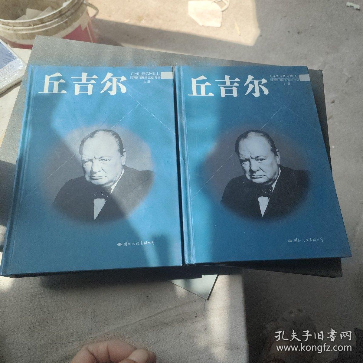 丘吉尔 上下册