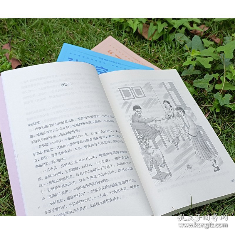 中小学生阅读书系:寄小读者