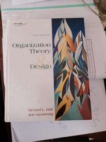 Organization Theory  Design