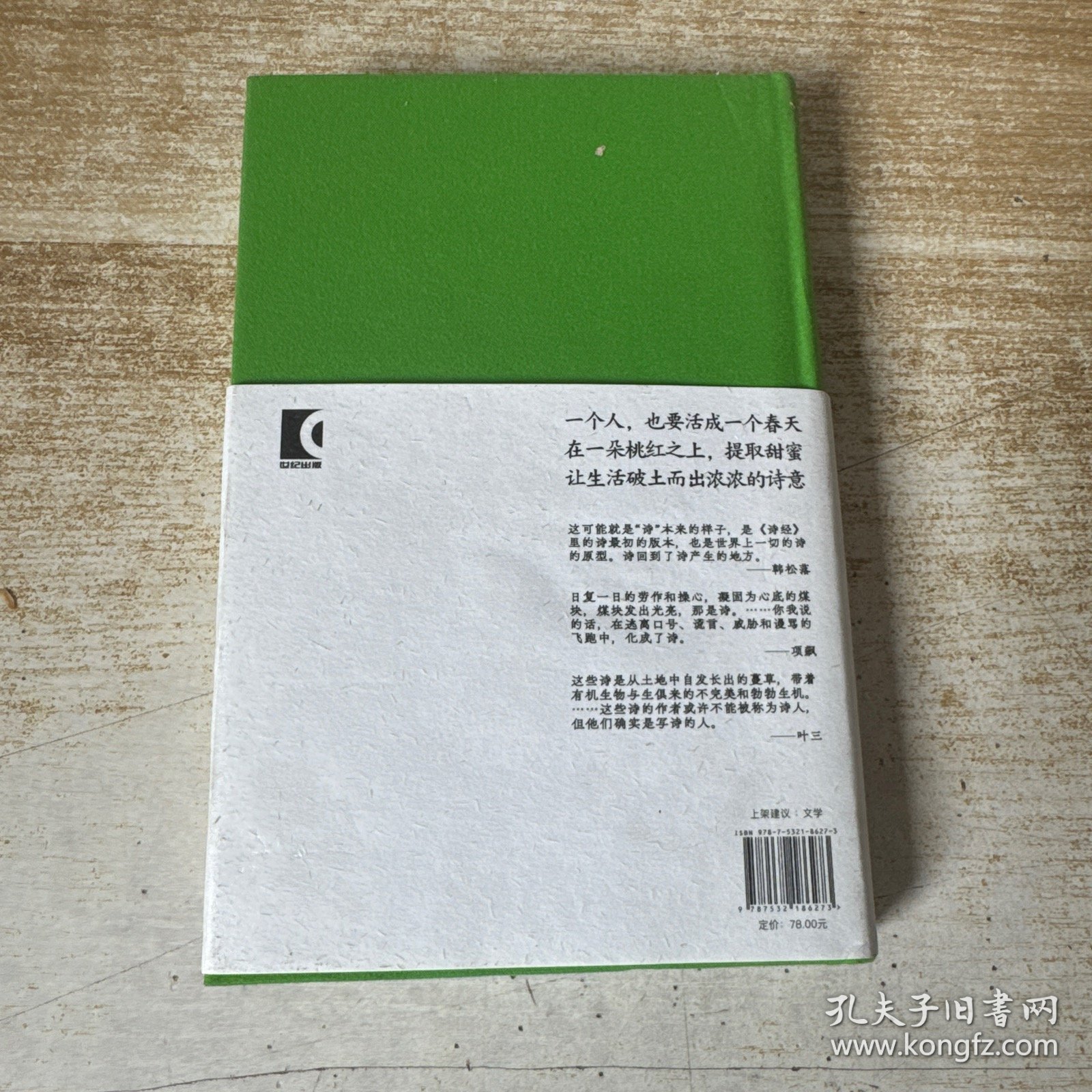 一个人，也要活成一个春天：快手诗集（写诗，就是和另一个自己对话）