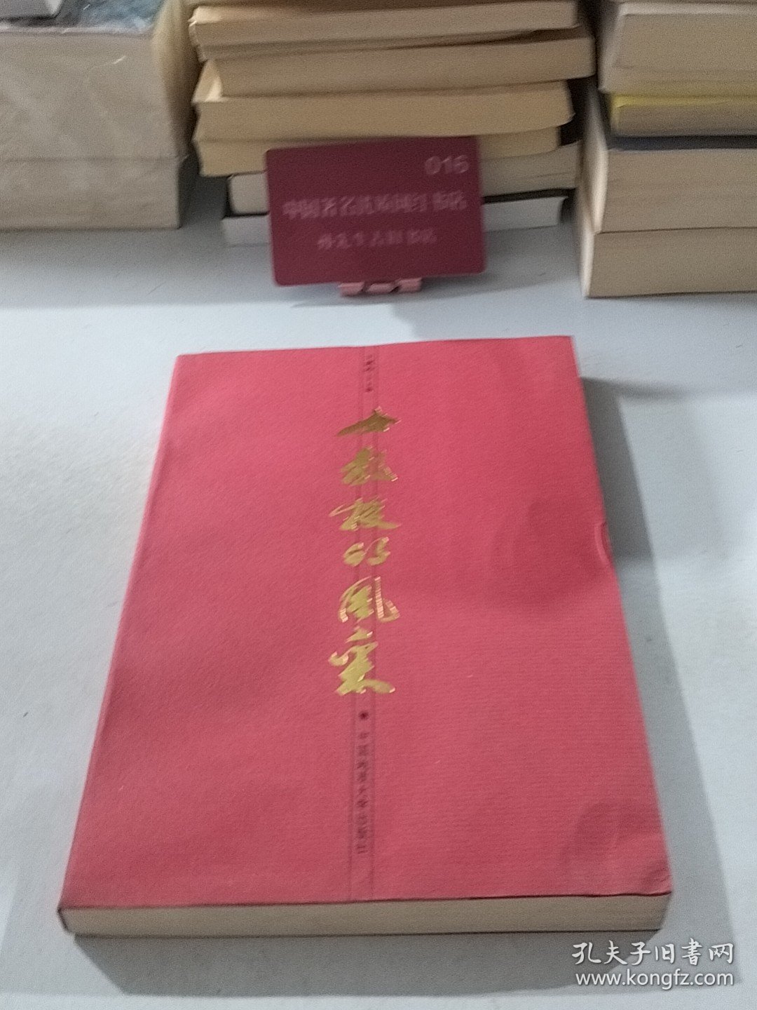 女教授的风采