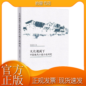 文化视阈下中国现代小城小说研究