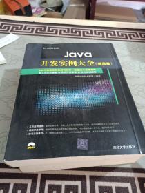 Java开发实例大全 提高卷/软件工程师开发大系