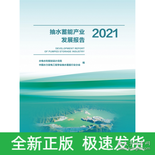 抽水蓄能产业发展报告2021