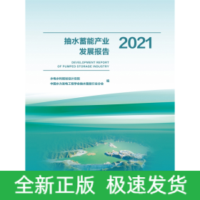 抽水蓄能产业发展报告2021