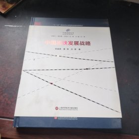 中国高铁丛书：中国高铁发展战略