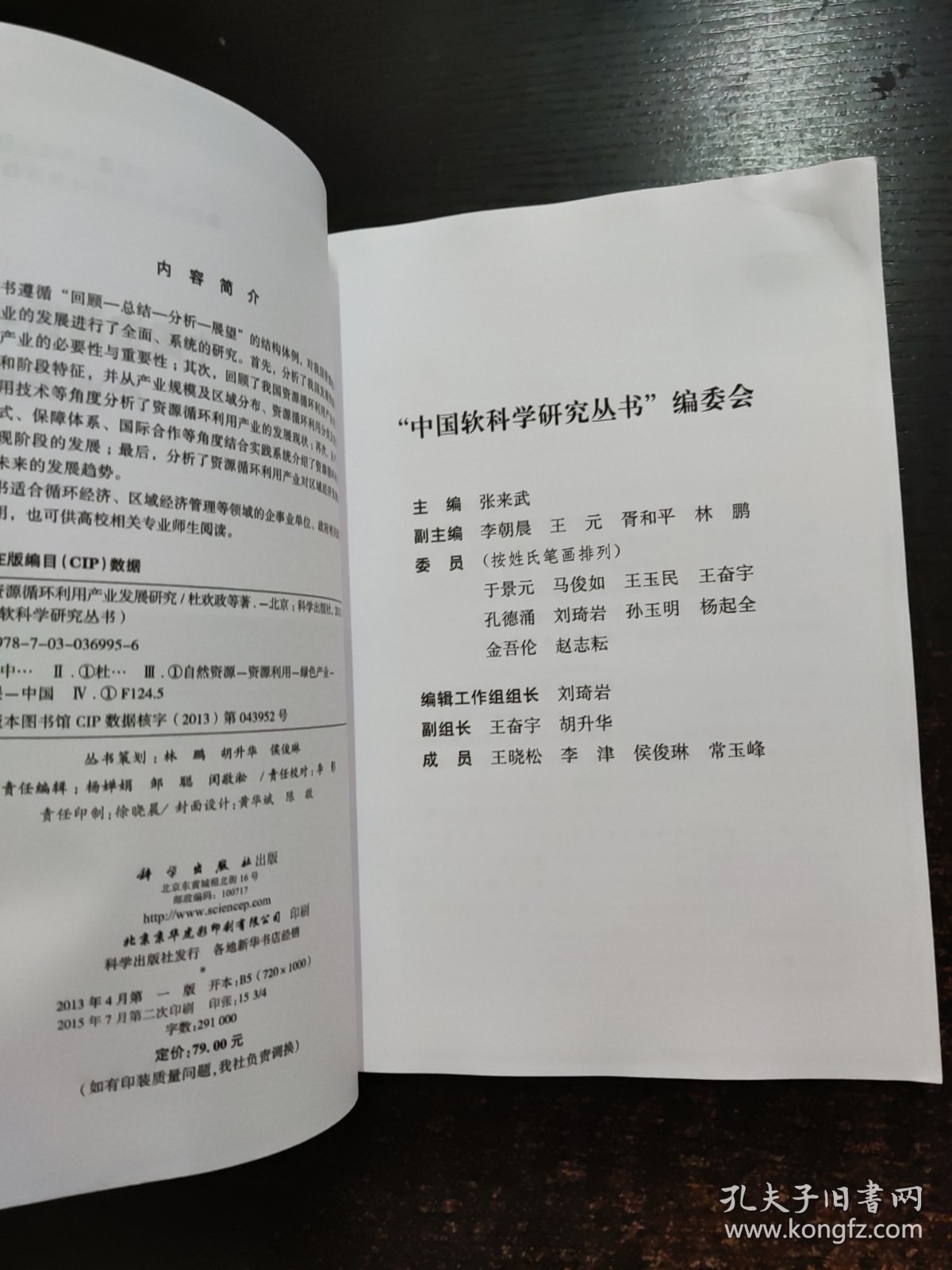 中国软科学研究丛书·“十一五”国家重点图书出版规划项目：中国资源循环产业发展研究
