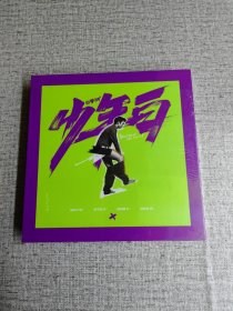 白举纲：少年白 CD！未拆封。