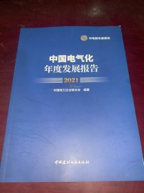 2021中国电气化年度发展报告