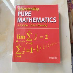 Understanding Pure Mathematics