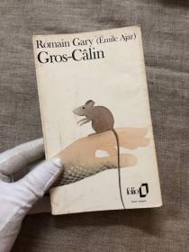 Gros-Câlin Gros-Calin 大亲热 罗曼·加里作品【罗曼·加里是唯一一位两次获得龚古尔文学奖的作家，法文版】