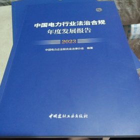 中国电力行业法治合规年度发展报告2023