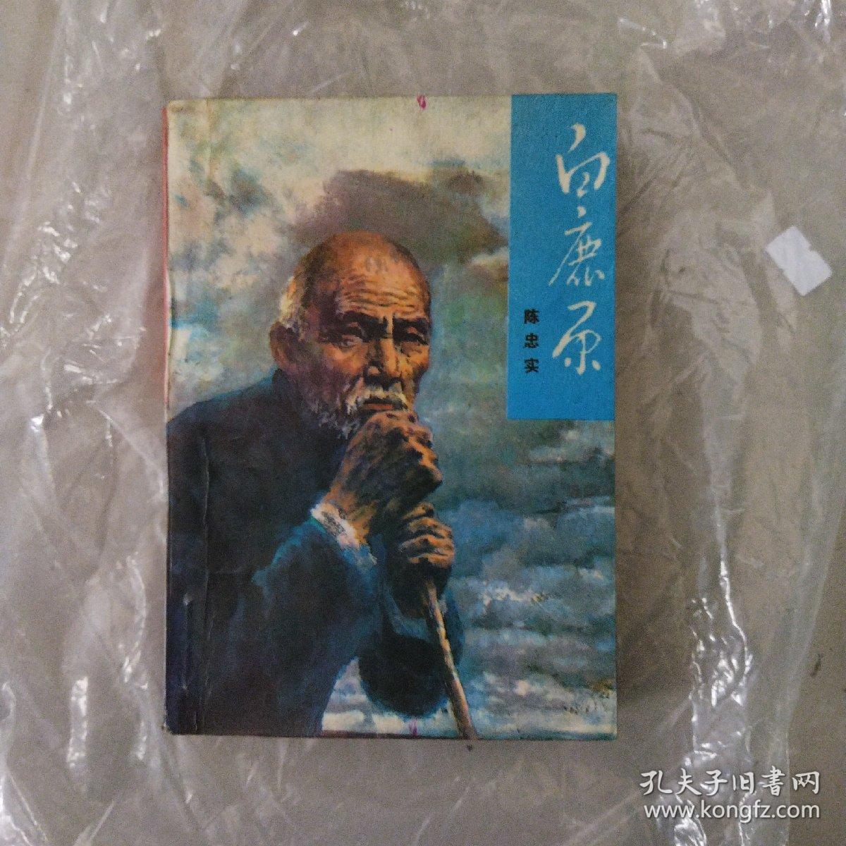 白鹿原，1993年一版一印，