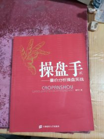 操盘手：量价分析操盘实战