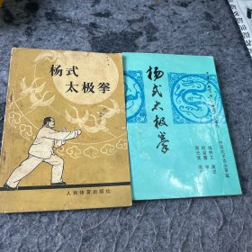 杨式太极拳