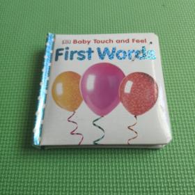 First Words (Baby Touch and Feel) [Board book]