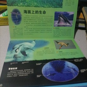 超级炫酷3D立体大百科：海底世界大探秘