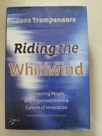 RIDING THE WHIRLWIND: Connecting People and Organisations in a culture of innovation [如何组织一个创新实体】 精装16开+书衣插图本
