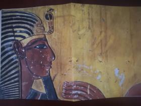 The Royal Tombs of Egypt: The Art of Thebes Revealed 埃及底比斯的皇家陵墓 壁画和艺术