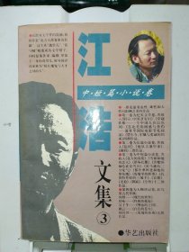 江浩文集3 中短篇小说