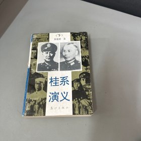 桂系演义  下    漓江出版社