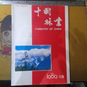 中国林业 杂志（1989.12）