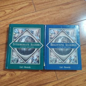 Beginning Algebra Eighth Edition （Intermediate Algebra Eighth Edition）
