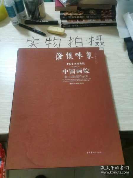 澄怀味象·中国艺术研究院：中国画院第三届院展作品集（精装共两册）