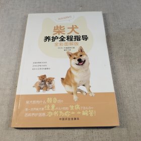 柴犬养护全程指导