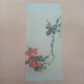 小挂历画页  扶桑（于西宁）