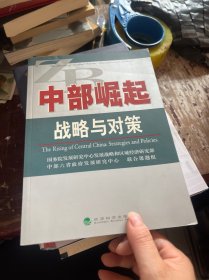 中部崛起：战略与对策