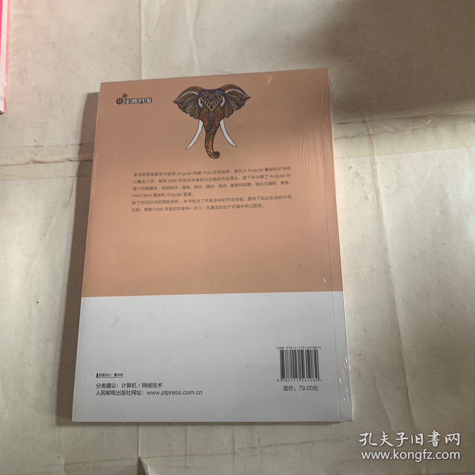 Angular开发入门与实战